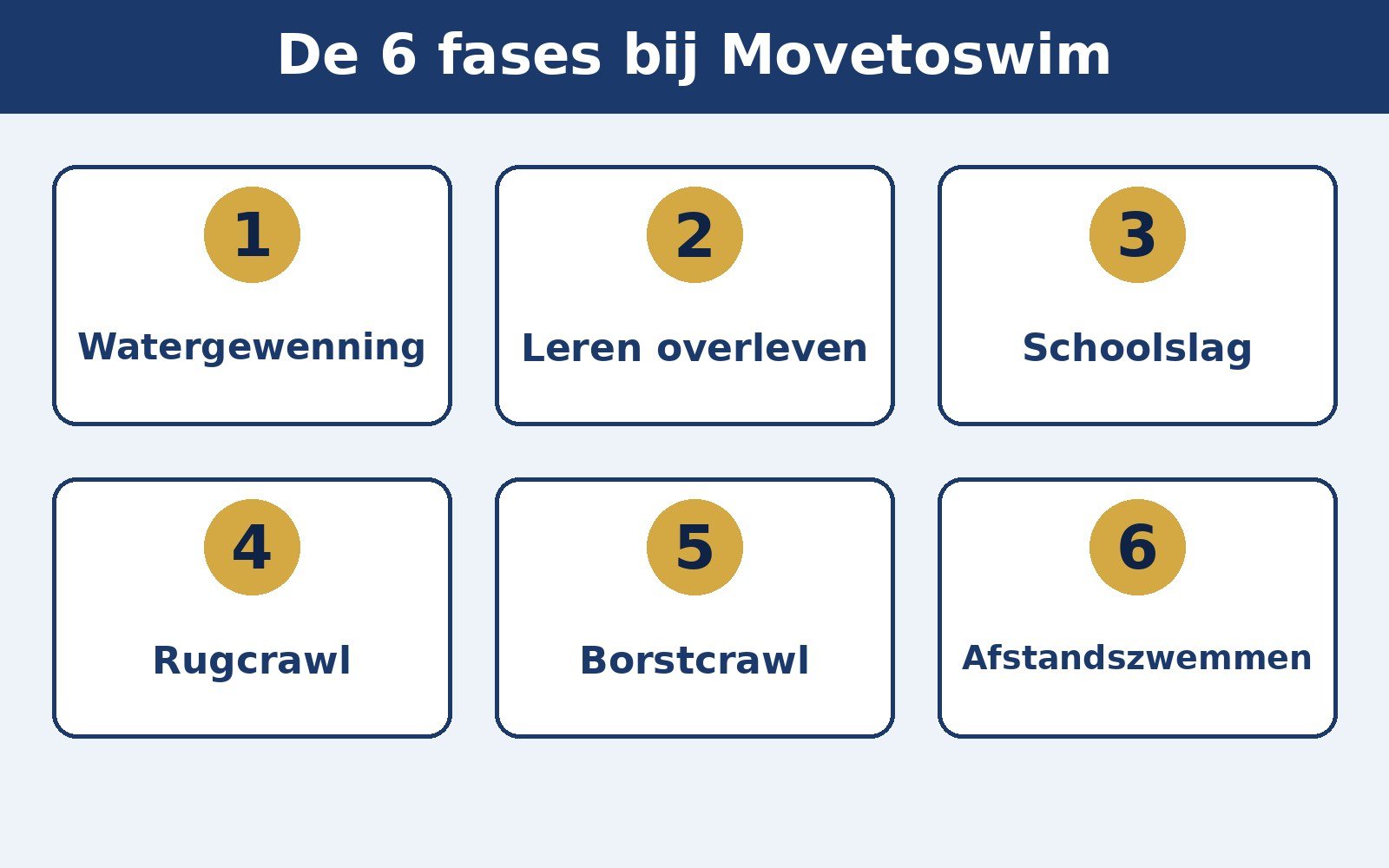 De 6 fases bij Movetoswim op een rij